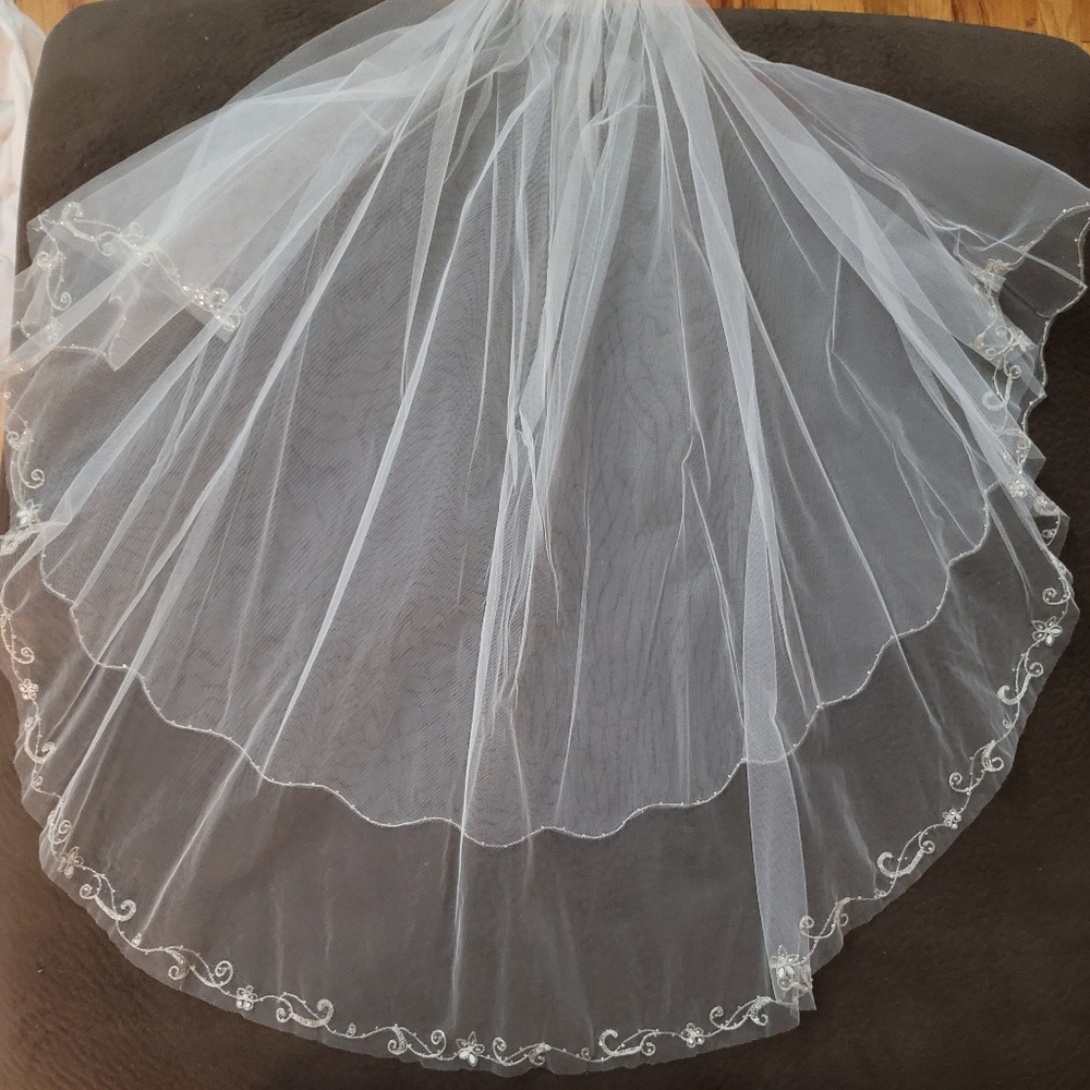 David's Bridal Wedding veil
